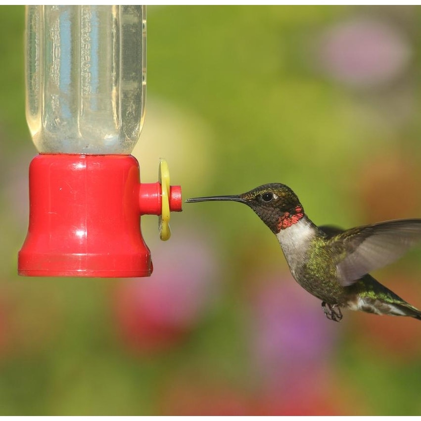 4 Pack Details about   Hanging Hummingbird Feeder 6.75 Inches 