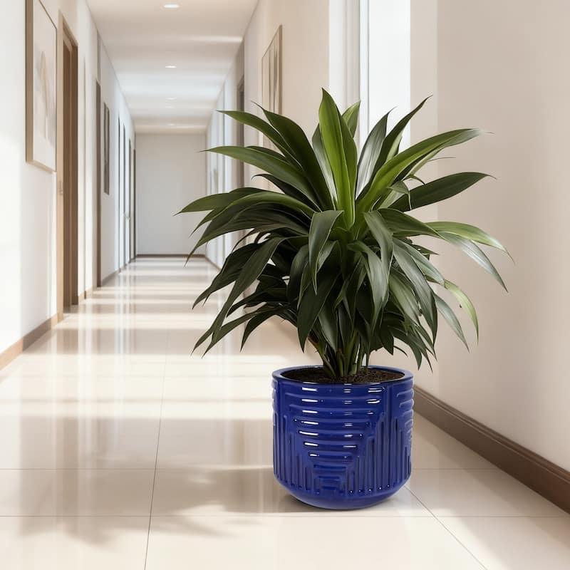 Anmytek Ceramic Round Planter with Drainage for Indoor Outdoor