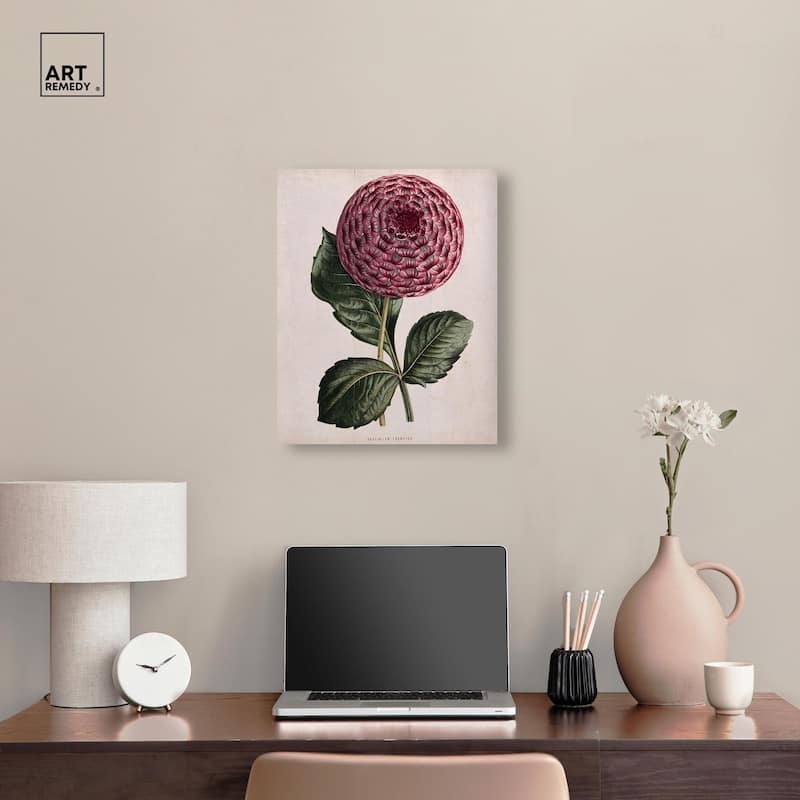 A dahlia Canvas by Art Remedy, Gallery Wrapped