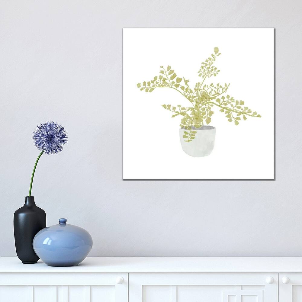 iCanvas "Potted Fern III" by Bannarot Canvas Print