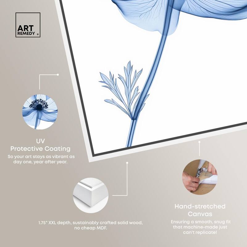 Floral Radiograph Canvas by Art Remedy