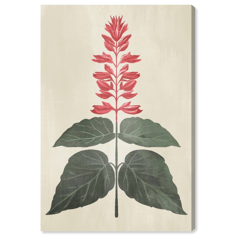 Wynwood Studio Canvas Floral and Botanical One plant Botanical Red and Pastel Red Traditional Wall Art Canvas Print