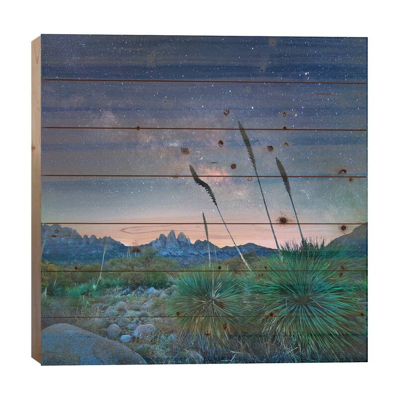 Agave And The Milky Way, Organ Mountains-Desert Peaks National Monument, New Mexico Print On Wood by Tim Fitzharris - 26x26x1.5