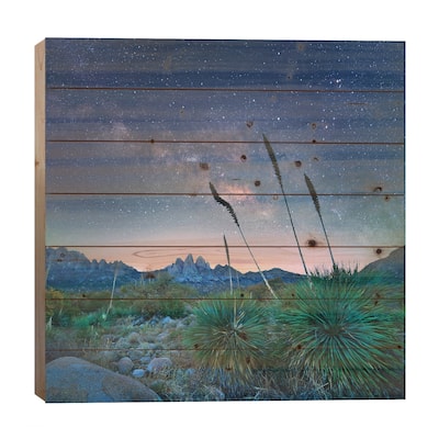 Agave And The Milky Way, Organ Mountains-Desert Peaks National Monument, New Mexico Print On Wood by Tim Fitzharris