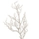 preview thumbnail 4 of 5, 72" Twig Deadwood Tree - Brown/Grey or Cream/White Cream/White