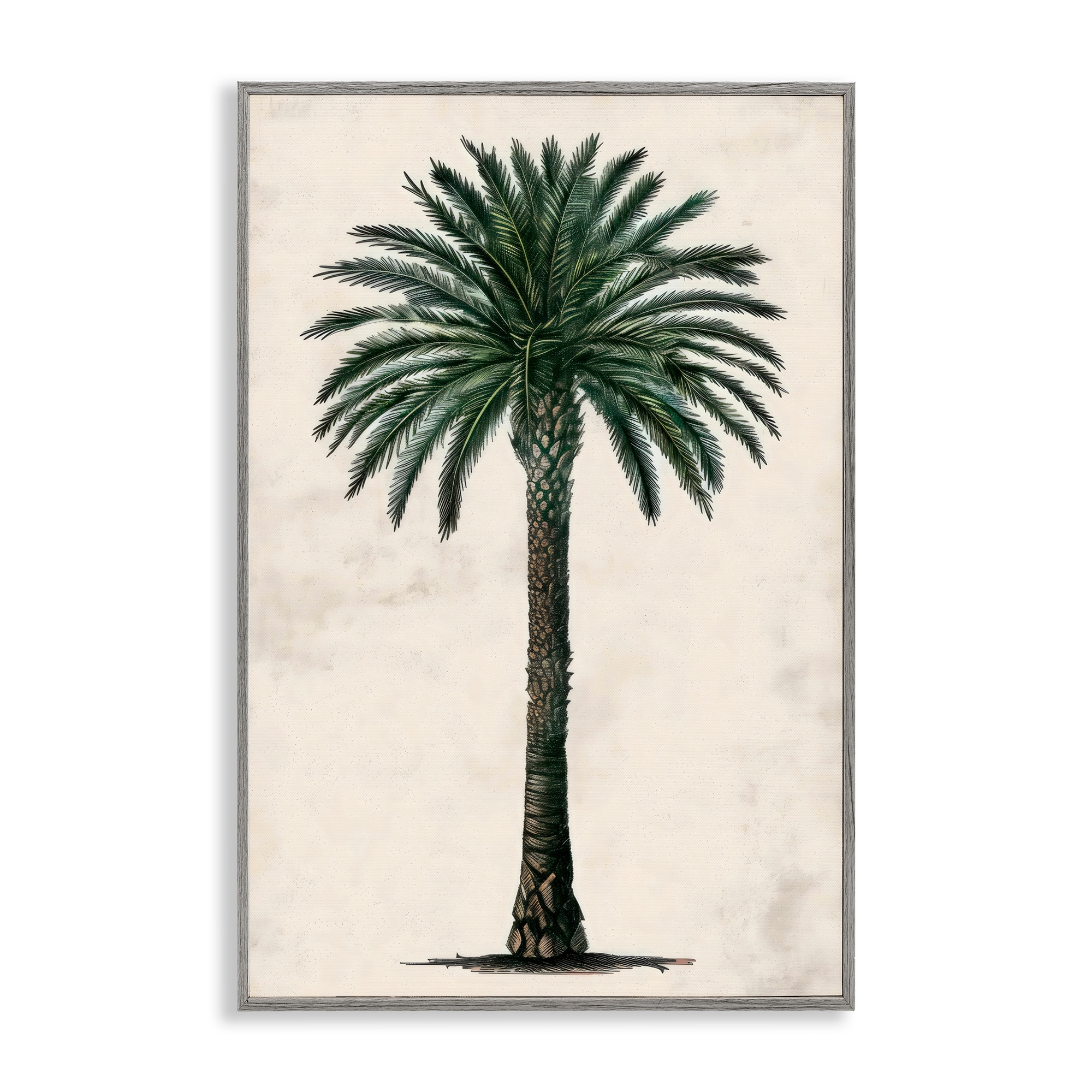 Stupell Botanical Rounded Palm Tree Framed Giclee Art Design By LSR Design Studio
