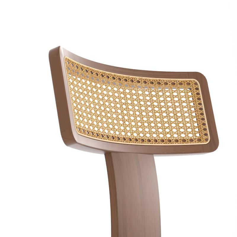 Mid Century Modern Dining Chairs Set of 2, Solid Wood and Rattan Net Back