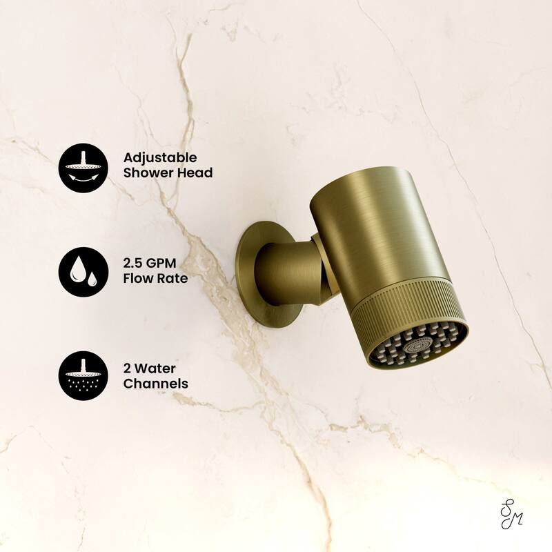 Lumiere 2-Spray Patterns 2.5 Gpm Wall Mount Fixed Shower Head In Brushed Gold