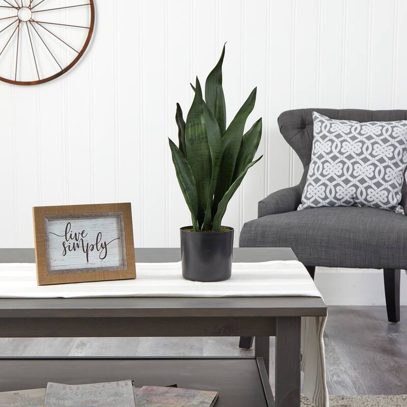 22" Sansevieria Artificial Plant - 6"