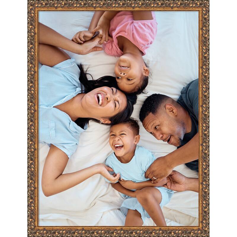 Antique Bronze Framed Picture Frame, Photo Frame - 18x24