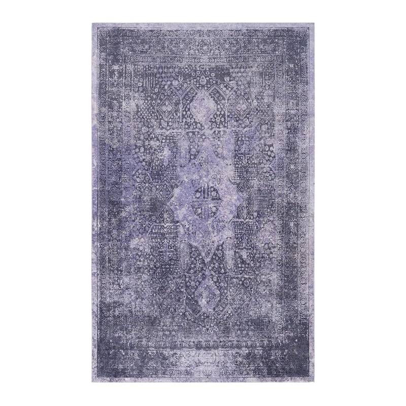 Machine Washable Rug 4x6,Non Slip Rugs for Living Room Bedroom Carpet Stain Resistant,Home Decor - 6' x 7'