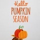 preview thumbnail 4 of 3, Hello Pumpkin Season and Plaid Fall Harvest Kitchen Tea Towels - 26" - Set of 2