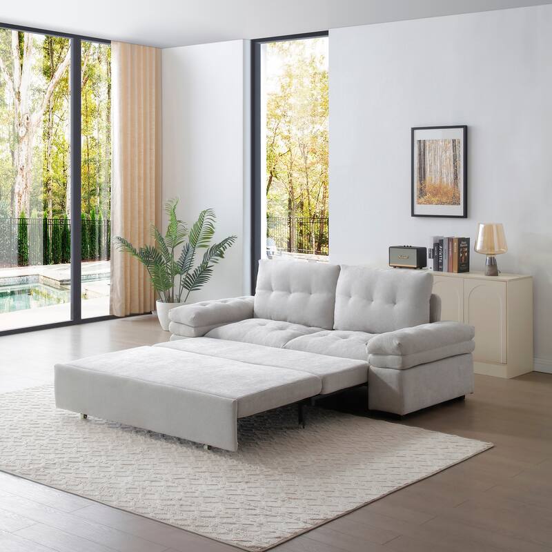 Sleeper Sofa