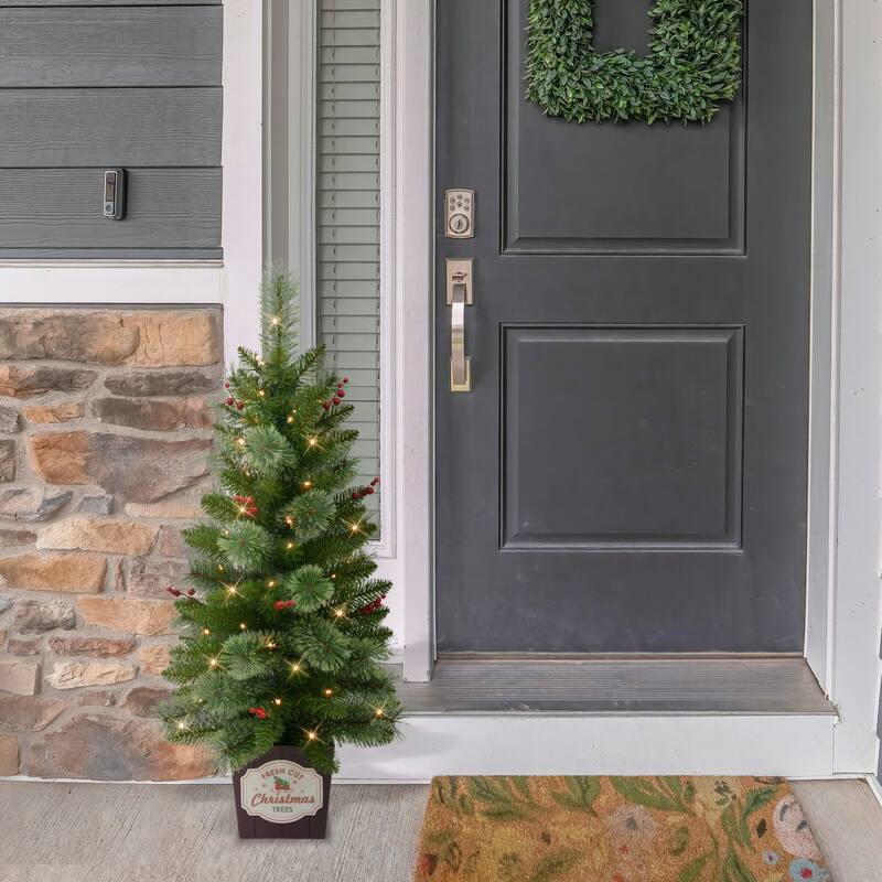 Puleo International Set of 2 Artificial Feather-Like Pre-Lit Battery-Operated Potted Christmas Trees with Berries