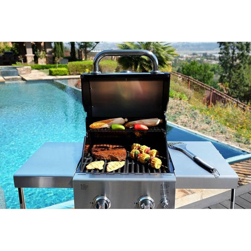 Permasteel 2-Burner Propane Gas Grill with Foldable Side Shelves
