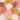 Envy Mood Peachy  Wallpaper