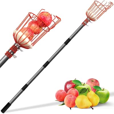 WaLensee 5.5FT Fruit Picker, Adjustable Fruits Picker Tool with Lightweight Stainless Steel Pole and Big Basket