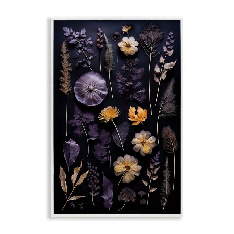 Stupell Flower Specimens on Black Framed Giclee Art Design By Heidi Kuntz - 12 x 18 - White