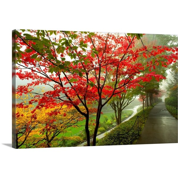 Trees Along A Garden Path Victoria Vancouver Island British Columbia Canada Canvas Wall Art Overstock 16888812
