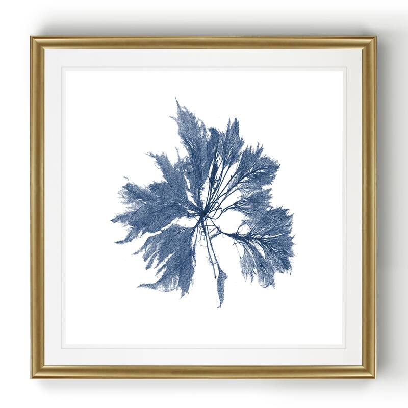 Navy Seaweed I -Black Framed Print
