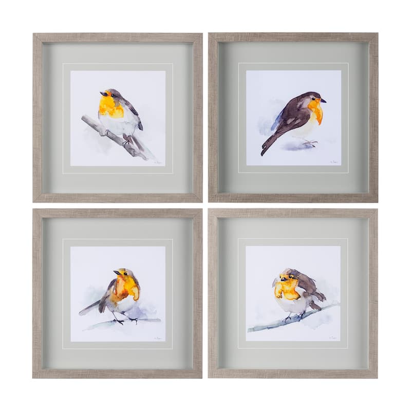 Robin IV Framed Art Print
