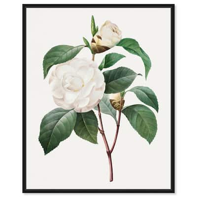 White Camellia Canvas by Art Remedy