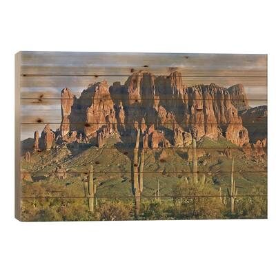 Saguaro Cacti And Superstition Mountains, Lost Dutchman State Park, Arizona II Print On Wood by Tim Fitzharris - Multi-Color