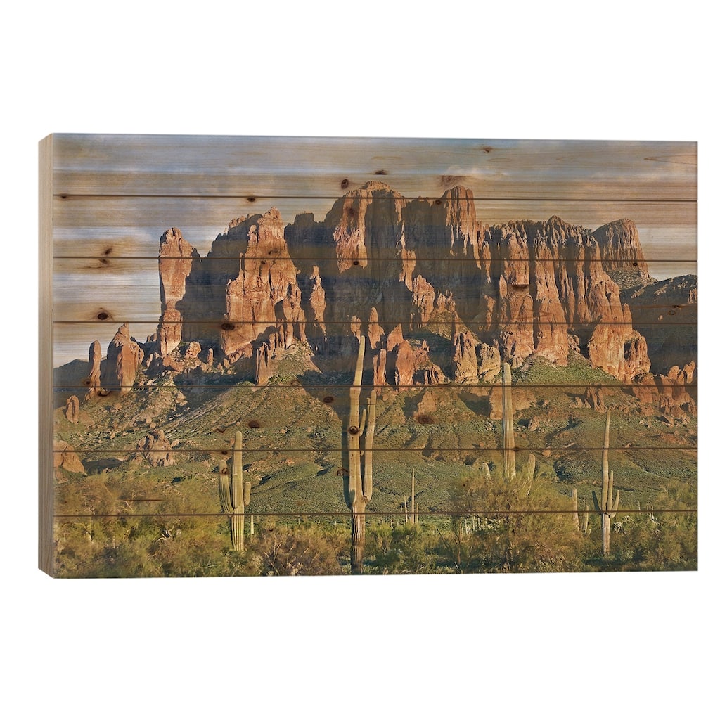 Saguaro Cacti And Superstition Mountains, Lost Dutchman State Park, Arizona II Print On Wood by Tim Fitzharris - Multi-Color