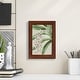 preview thumbnail 32 of 118, Orchid Blooms I -Framed Print w/glass-Cherry Red