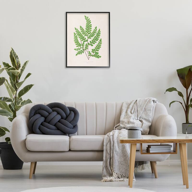 Stupell Woodland Sprigs Study Framed Giclee Art Design By Phillipa Katz