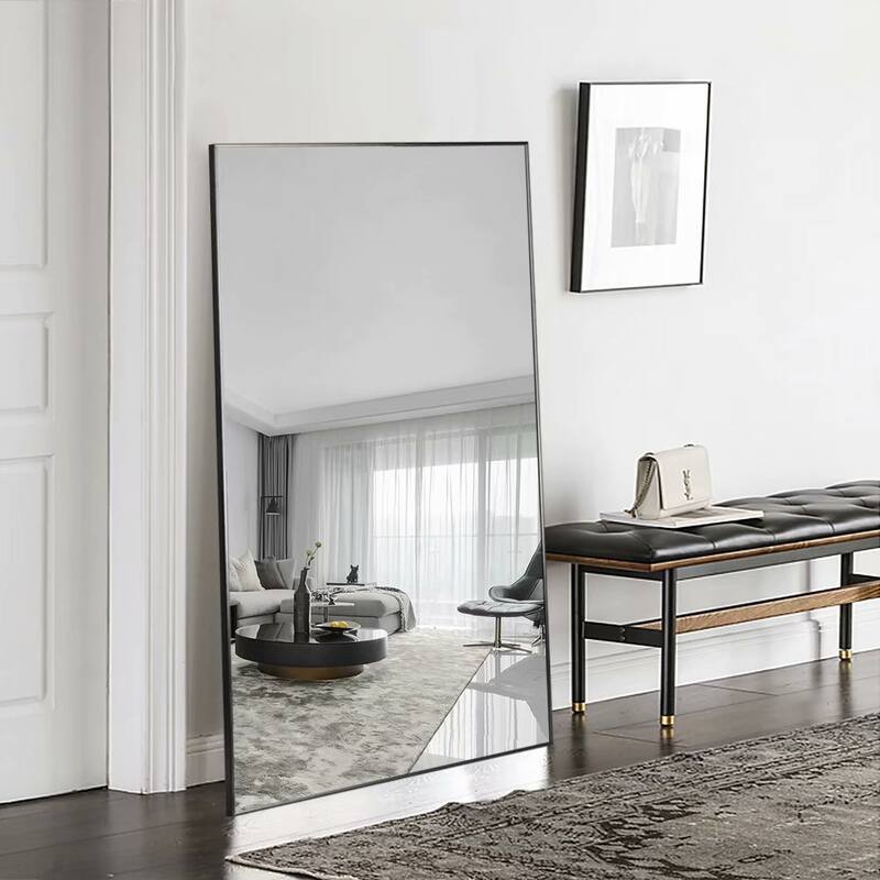 Modern Aluminum Alloy Thin Framed Full Length Floor Mirror - 59x35 - Black - Black