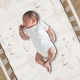 preview thumbnail 6 of 8, Lambs & Ivy Treetop Fox Woodland Tree Nursery 3-Piece Baby Crib Bedding Set