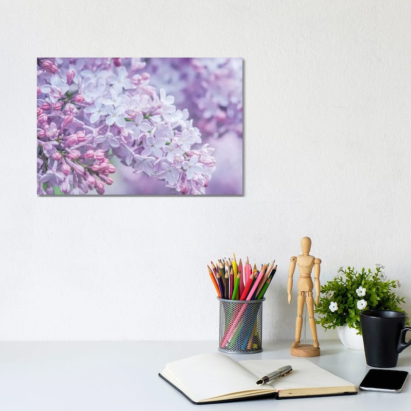 iCanvas "USA, Washington State, Seattle. Kubota Garden, lilac close-up." by Rob Tilley Canvas Print - 8x12x0.75