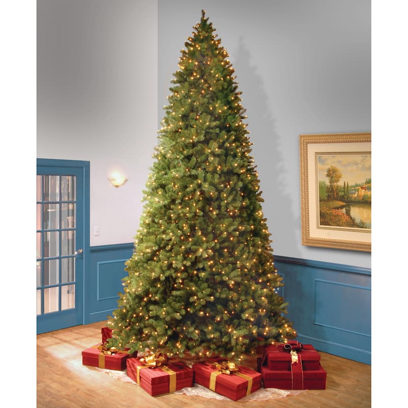 National Tree Company 12 ft. Downswept Douglas Fir Tree with Clear Lights - 12 Foot - 12 Foot - Green