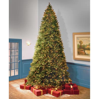 National Tree Company 12 ft. Downswept Douglas Fir Tree with Clear Lights - 12 Foot