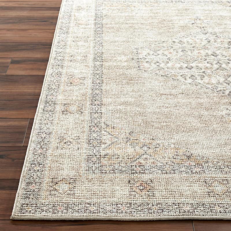 Livabliss Lila Updated Traditional Medallion Area Rug