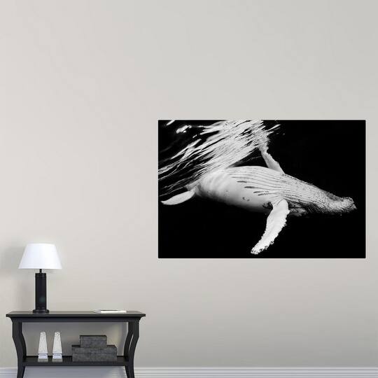 Shop Black And Whale Poster Print Overstock 21002878
