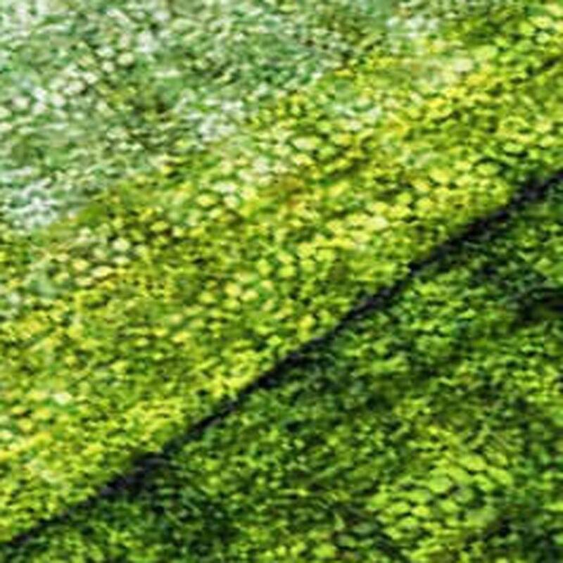 HomeRoots Striped Transitional Rectangle Outdoor Rug