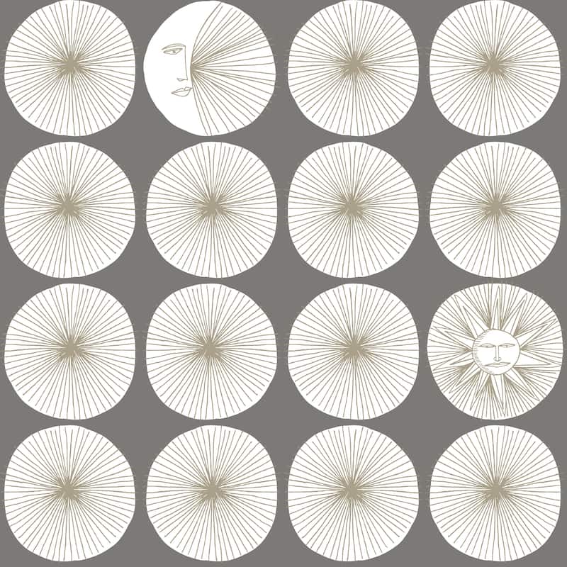Irvine 20' L x 20.5" W Starburst Peel and Stick Wallpaper - Gray/Glint