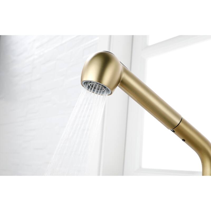 Utility Sink Faucets Single-Handle Pull-Out Laundry Faucet with Dual Spray Function in Stainless Spot Resistant Gold