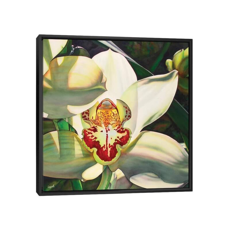 iCanvas "Pale Orchid III" by Lisa Lopuck Framed Canvas Print - 37x37 - Black