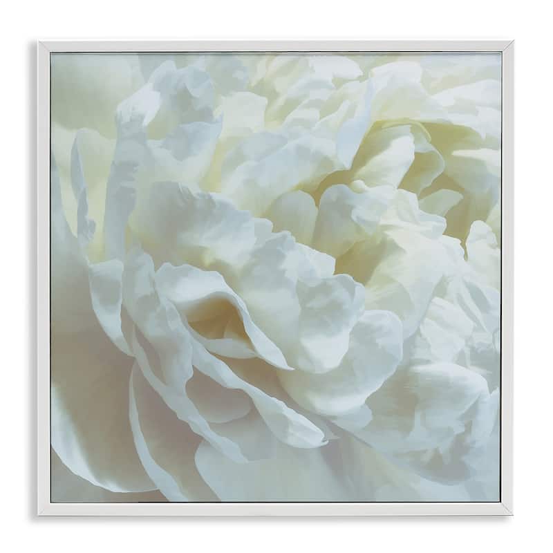 Stupell Elegant White Petals Framed Giclee Art Design By David Pollard - 17 x 17 - White