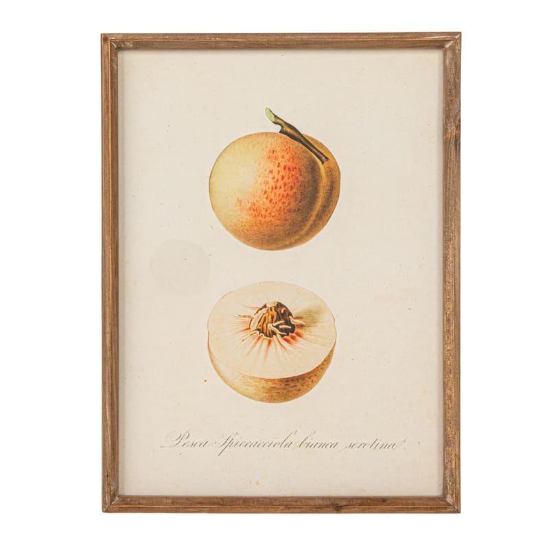 Reclaimed Wood Framed Fruit Print Wall Art