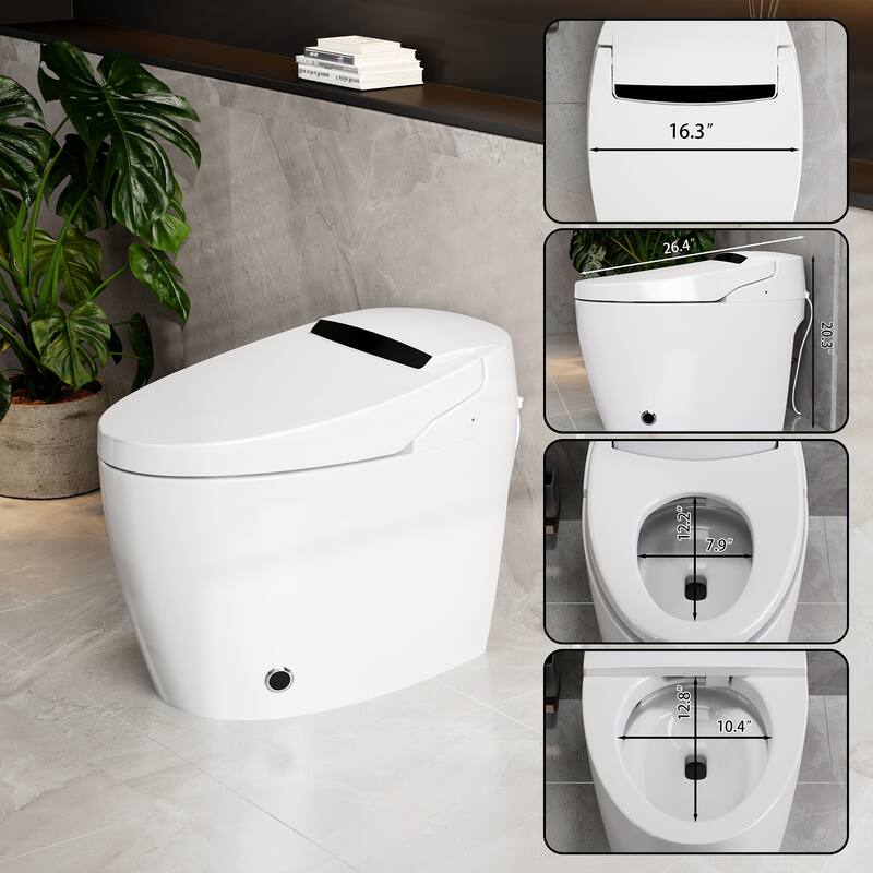 Smart Toilet with Heated Seat & Warm Air Dryer, Auto Flush One Piece Toilet with Night Light, Self Cleaning Nozzle