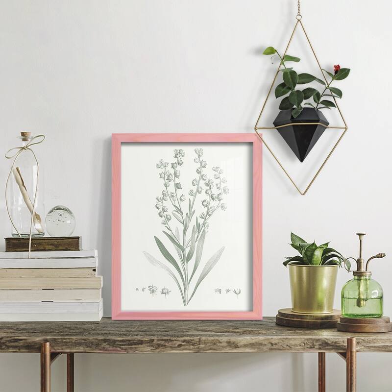 Botanical Study in Sage I -Framed Print w/glass-Cherry Red