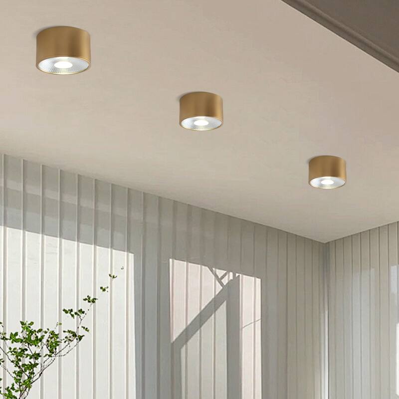 LED Flush Mount Ceiling Light Modern Light Fixtures Ceiling