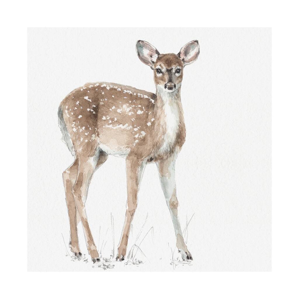 Forest Friends XII (Deer) (41 x 41) Canvas Art Print