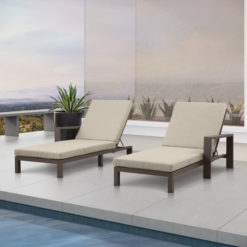 Benton Modern Aluminum Lounge Outdoor Double Chaise with Cushion