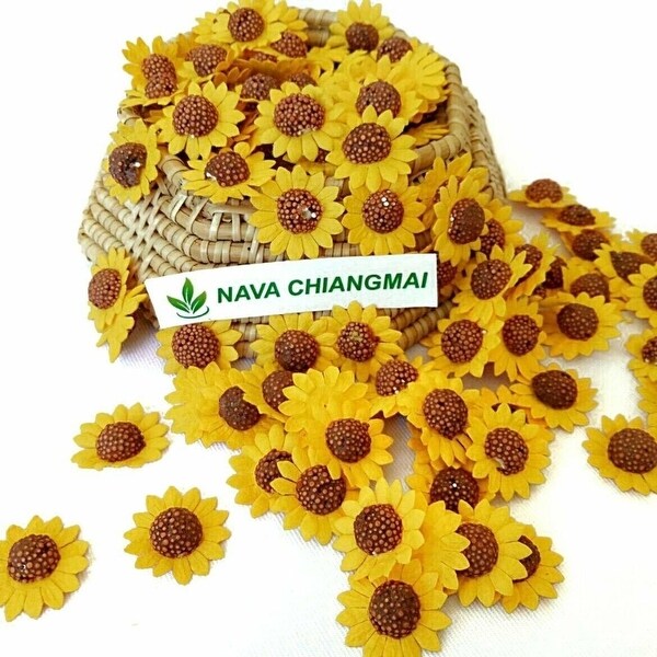 diy miniature flowers