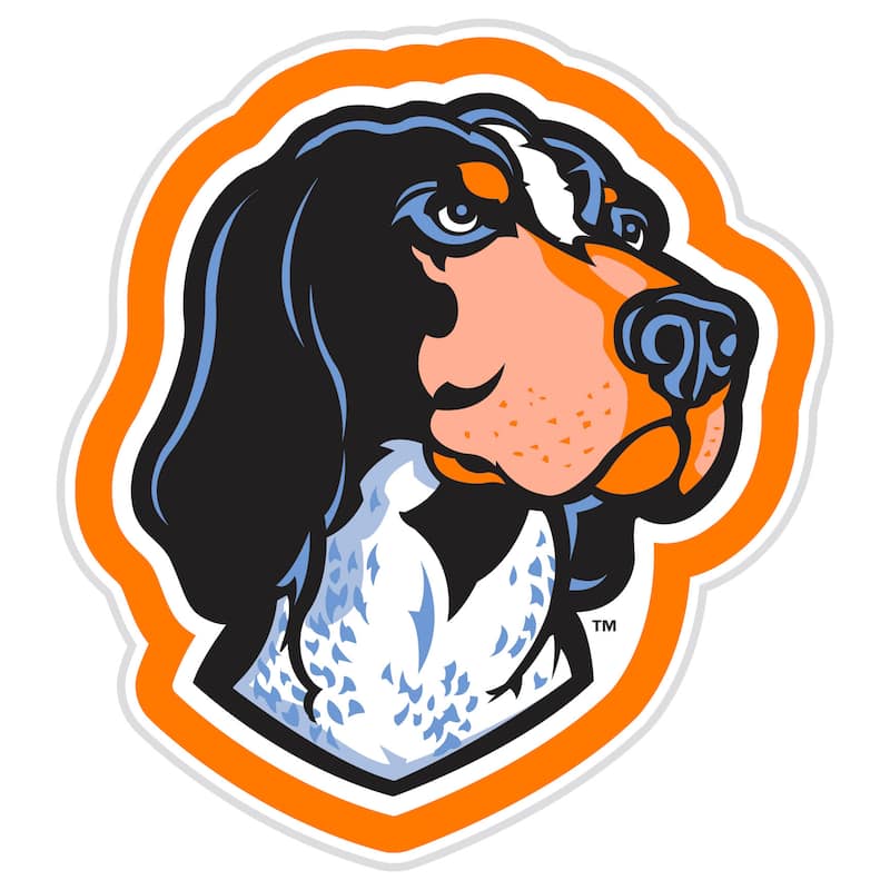 University of Tennessee College Mascot Plug-In LED Lighted Sign